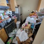 hoarder cleanup in Boston
