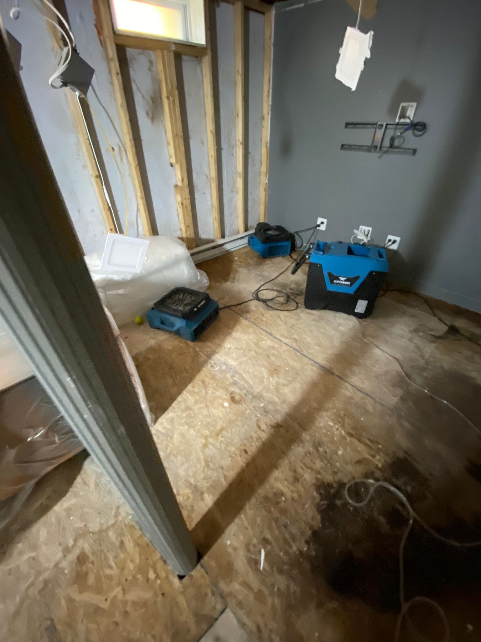 Cleaning Service in Dedham