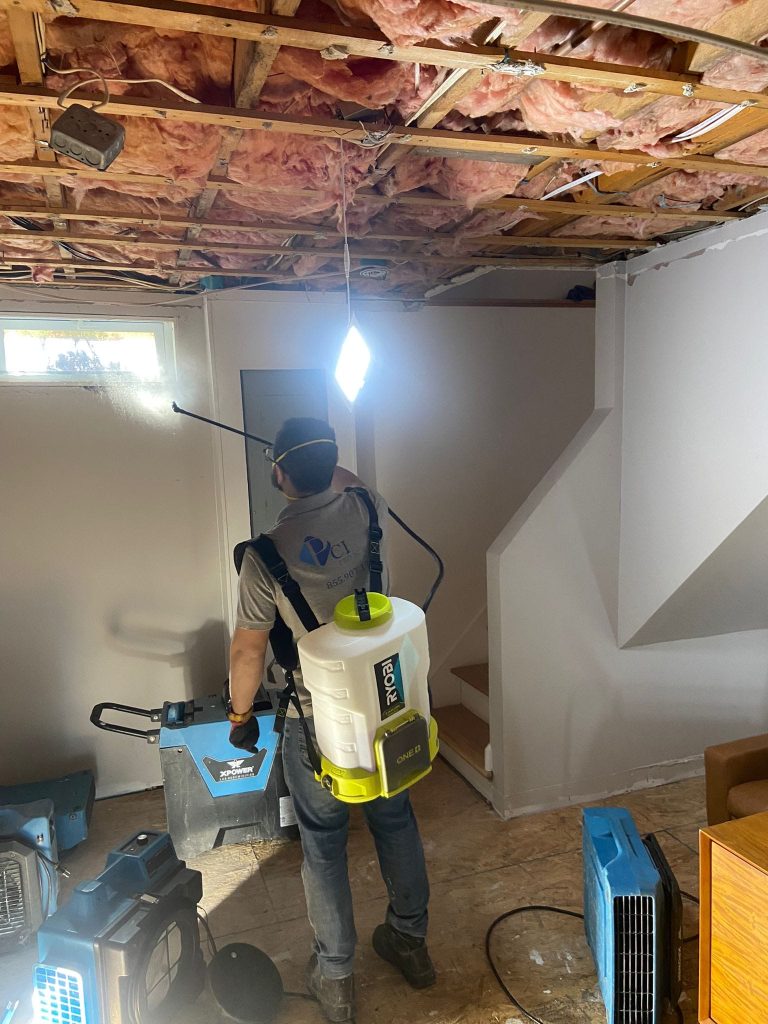 Cleaning in Wellesley MA