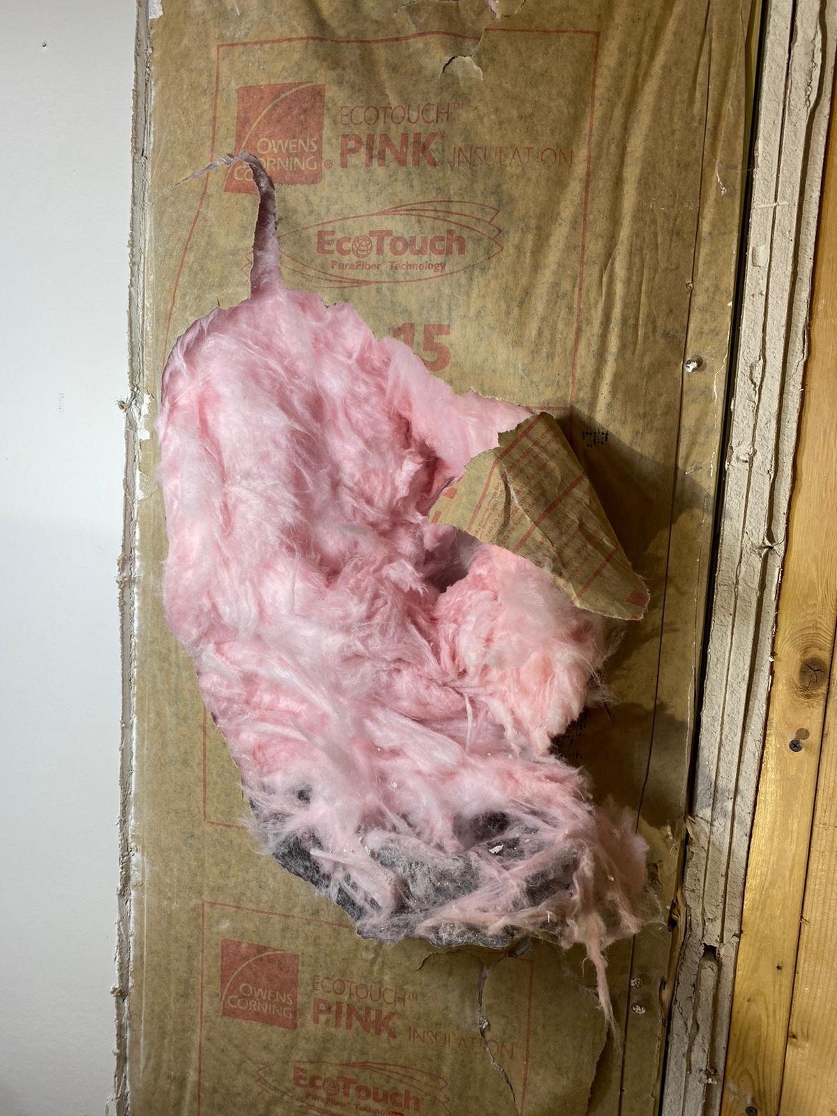 commercial Cleaning Services